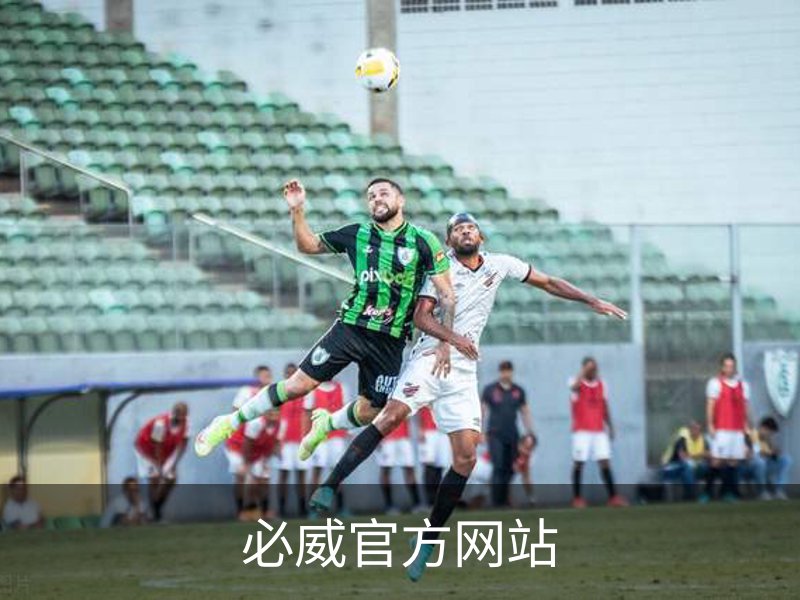 必威官方网站概况